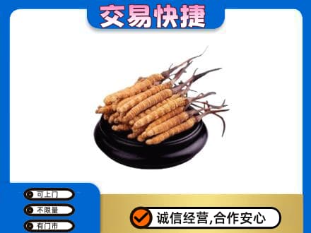 响水县礼品回收散虫草.jpg